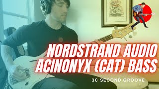 Nordstrand Audio  Acinonyx Bass Cat Bass [upl. by Annodam]