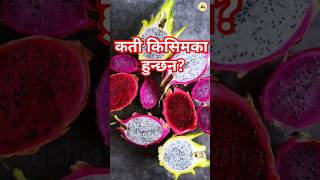 कति किसिमका ड्रागन fruits agricultureinnepal fruitcultivation fruitfarming goatfarming [upl. by Nogas]