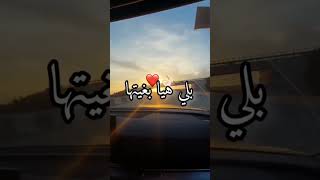 نكذب عليكم لا قلتلكم نسيتها 😩💔 ديروا في بالكم بلي هيا بغيتها 😓tiktok [upl. by Monreal]