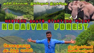 கோதையாறு அடர்ந்த காடுகள் TIRUNELVELI KANYAKUMARI THIRUVANANTHAPURAM BORDER [upl. by Rafaelof602]