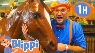 Blippi Explores Jungle Animals  1 HOUR OF BLIPPI  Educational Videos For Kids  Blippi Toys [upl. by Nole815]