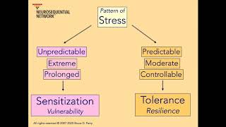 1 Patterns of Stress amp Resilience Neurosequential Network Stress amp Trauma Series [upl. by Yniatirb710]