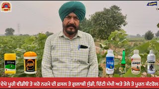 Cotton farming management about pink bollworm whitefly and jassids [upl. by Kabab]