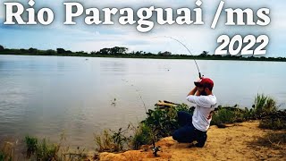 PESCARIA NO PANTANAL É SÓ OS BRUTO NA PONTA DA LINHACORUMBA MS Rio Paraguai [upl. by Goth]