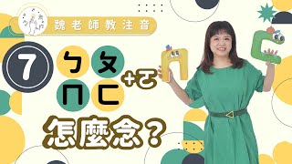 ［魏老師教注音 注音學習篇］ㄅㄆㄇㄈㄛ怎麼念？ [upl. by Josee]