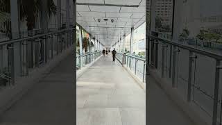 R Walk Bangkok Pt 2 [upl. by Enyamert]