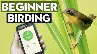 Things ALL Beginner Birders Should Do [upl. by Ehsiom]