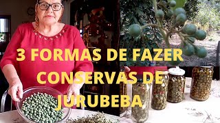 3 FORMAS DE FAZER CONSERVAS DE JURUBEBA  Vivendo no sítio [upl. by Minoru]