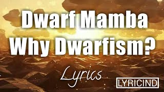 Dwarf Mamba Why Dwarfismlyric video [upl. by Noryt]