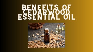 10 Benefits of Cedarwood Essential Oil [upl. by Gerek]