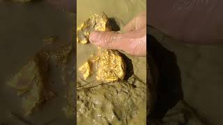 Gold mining on the banks of a fast flowing river goldhunter golddiscovery [upl. by Musa248]