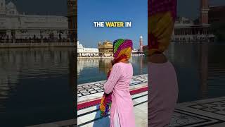 I visited the Golden temple in Amritsar  temple india shorts travel [upl. by Ekaj823]