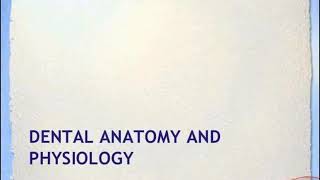 Basic Dental Terminology  Lecture [upl. by Vlad]