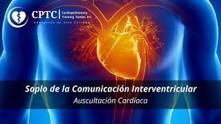 Soplo de la comunicación interventricular [upl. by Mckay]