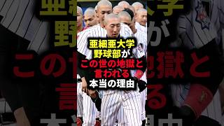 亜細亜大学野球部がこの世の地獄と言われる本当の理由 野球亜細亜大学野球解説 [upl. by Buxton413]