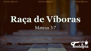 Raça de Víboras  Mateus 37 [upl. by Aneloj477]