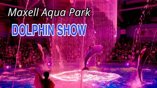 Best Dolphin Show in Shinagawa Japan  アクアパーク品川 [upl. by Alage]