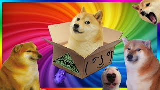 Doge Unboxing Boxception Box inside a box Darude Sandstorm in forest Dogelore meme [upl. by Eurydice]