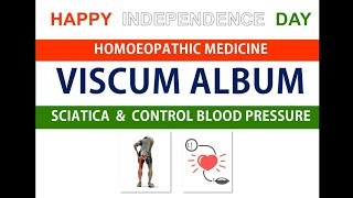 Viscum album Homeopathic MedicineSciaticaHigh Blood PressureMetrorrhagia [upl. by Ches]