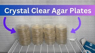 My Favorite Recipe for Making Agar Plates Full Tutorial [upl. by Aray]