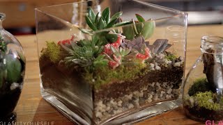 Terrariums  Glam It Yourself [upl. by Mert]