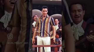 Elvis Presley Marguerita 1963 elvispresley elvispresleyfan tennessee elvispresleyreaction [upl. by Natsuj]