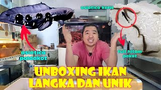 UNBOXING‼️ JUTAAN RUPIAH UNIK DAN RARE [upl. by Merla220]