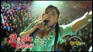 Rosita de Espinar  AMOR CIBERNÃ‰TICO  EPRAL PRODUCCIONES  Concierto 2015 [upl. by Ettenan77]