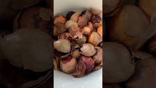 dyeing with avocado seeds amp madder root diy naturaldyeing [upl. by Deth226]