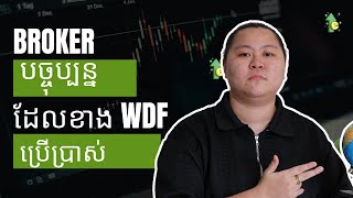 Broker Forex ដែលបច្ចុប្បន្នខាង WDF ប្រើប្រាស់ [upl. by Jaquenette]