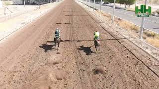 Carreras de Caballos del dia 10 de Noviembre del año 2024 en en el Hipódromo de Hermosillo [upl. by Evelina]