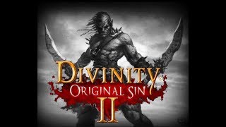 DivinityOrginal Sin 2  Building a Dual Bezerker v2 [upl. by Jaal]