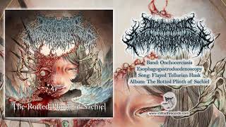 Onchocerciasis Esophagogastroduodenoscopy  Flayed Tellurian Husk Official Track [upl. by Grishilde265]