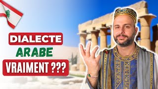 🇱🇧 Le Libanais estil juste un dialecte de larabe  🤔 Découvrez la vérité  🔍 [upl. by Hornstein]