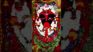 Maa kalratri ka Sandhya Vandana Navratri special Darshan [upl. by Wera349]