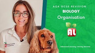 AQA GCSE Biology  Organisation Revision [upl. by Assenav]