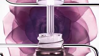 SISLEY PARIS Black Rose Precious Face Oil video YouTube 2 [upl. by Akerahs]