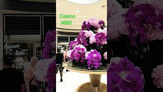 Sky park Casino MBS Singapore mbscasino [upl. by Attwood276]