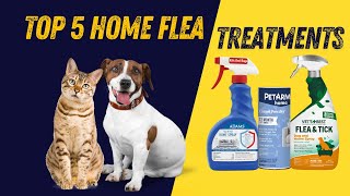 FLEA BUSTER Top Carpet Flea Treatments in 2024 [upl. by Erdna]