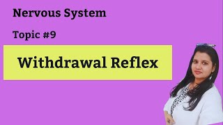 withdrawal reflexes physiology [upl. by Yup]