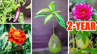 Plant Growing Time Lapse Compilation  2 Years In 8 Mins [upl. by Forster]