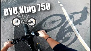 DYU King 750 electric bike amp my experience with it [upl. by Euton]