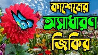 কাশেমের অসাধারণ জিকির ll নবীজির ভালোবাসার জিকির ll New jikir best jikir beautiful jikir [upl. by Mika]