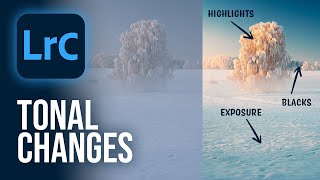 The Importance of TONAL ADJUSTMENTS Lightroom Classic Tutorial [upl. by Garrot]