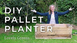 How to make a DIY Pallet Planter [upl. by Aicemak]