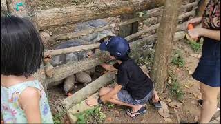 Feeding tortoises at Bintan 🐢 [upl. by Osnofedli]