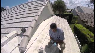 Pest Control  How to RodentProof Your Home  Exterminator in Vero Jupiter  Nozzle Nolen [upl. by Nomannic]