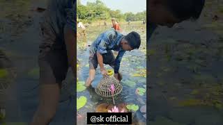 मछली कैसे पकड़ते हैं YouTube short trending video shorts viral shots [upl. by Sandberg]