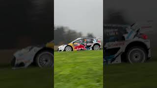 Central Europe WRC shorts wrc [upl. by Gaultiero]