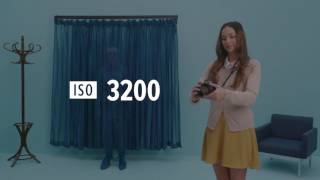 What is ISO  Photography Basics Explained [upl. by Eimat920]